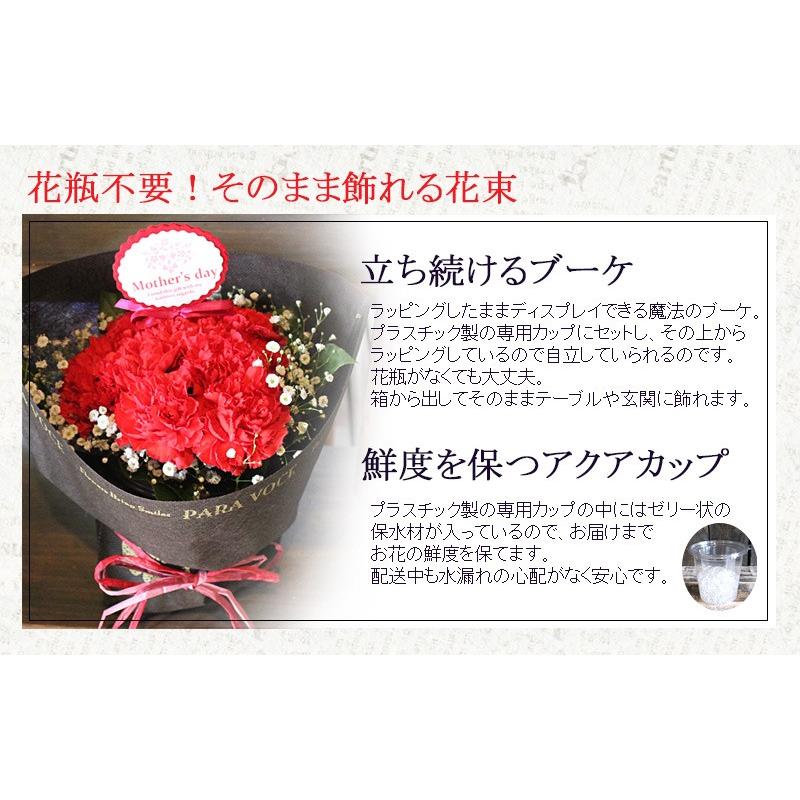母の日 花 ギフト 母の日ギフト 母の日 花 プレゼント 赤いカーネーションのスタンディングブーケ Sサイズ 12本 定番 お洒落 花瓶が要らない花束 贈り物 Rcstbs 花ギフト専門店 パラボッセ 通販 Yahoo ショッピング