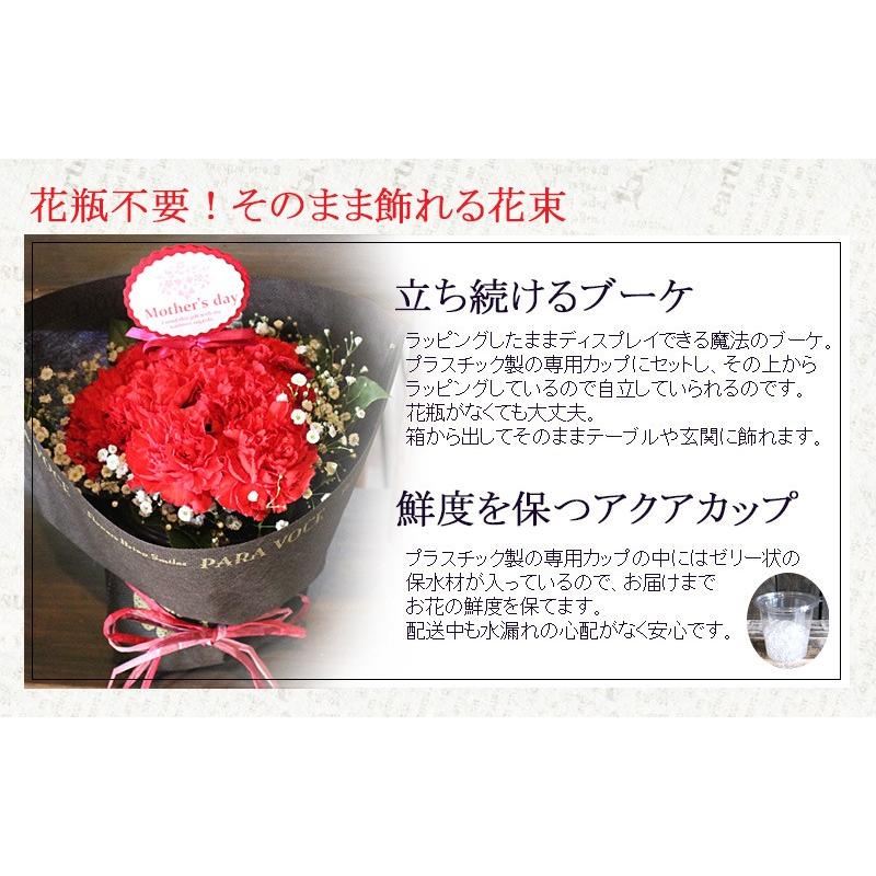 母の日 花 ギフト 母の日ギフト 母の日 花 プレゼント 赤いカーネーションのスタンディングブーケ Sサイズ 12本 定番 お洒落 花瓶が要らない花束 贈り物｜paravoce｜05