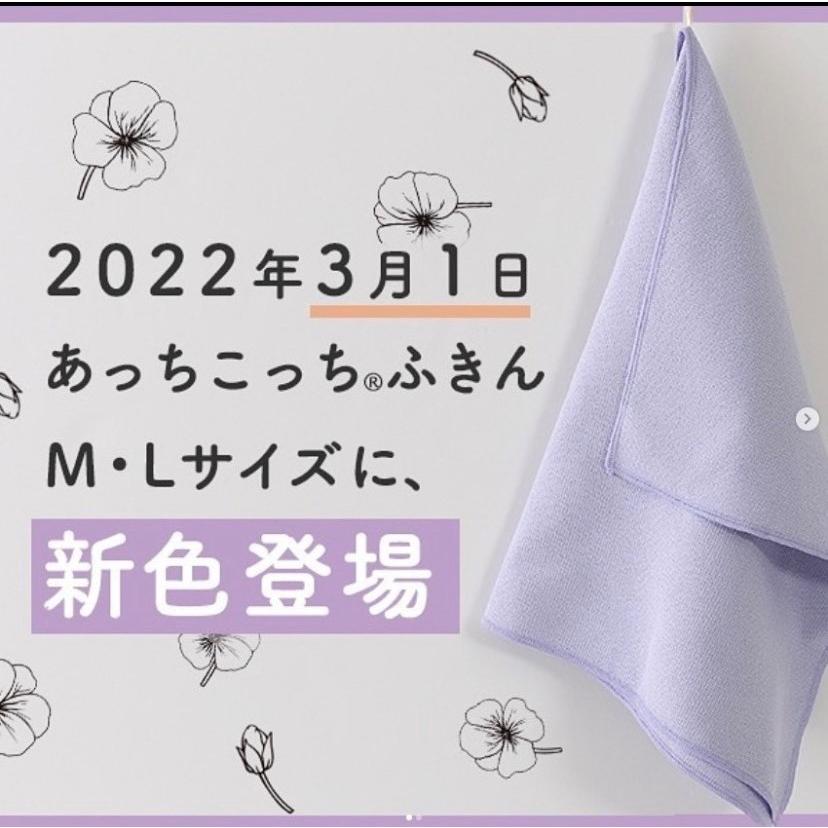 TEIJIN（テイジン） あっちこっちふきん 薄手版 Lサイズ ラベンダー