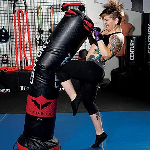 ウルトラ！ Century Versys Fight Simulator (10184 Bベース) 【ZYX3011660703】(108240円)