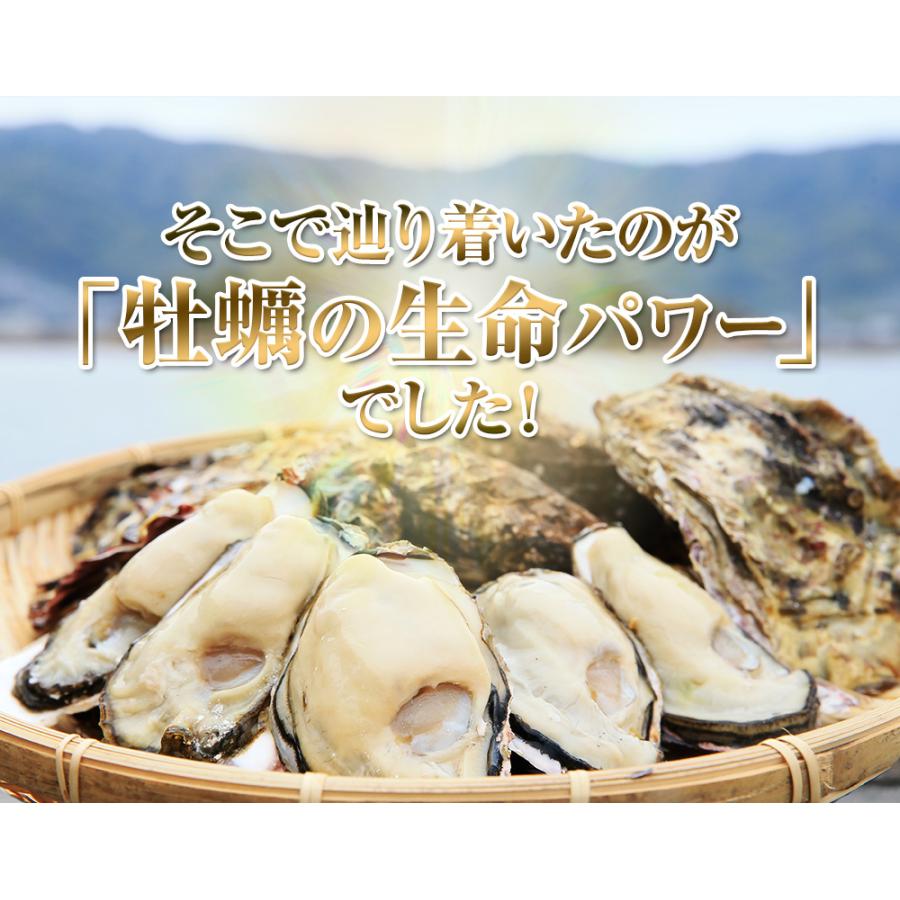 健康サポートセンター 海乳EX 6袋セット 公式 亜鉛サプリ 牡蠣 高配合 