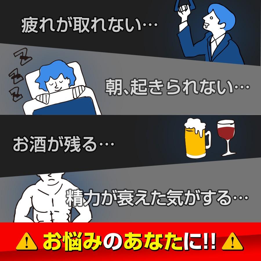 亜鉛サプリ アルギニン 亜鉛 タウリン 約3ヶ月分 牡蠣エキス 二日酔い 元気 サプリ 男性 送料無料 お歳暮 公式 妊活 サプリメント 滋養強壮 海乳EX 亜鉛サプリ アルギニン 亜鉛 タウリン 約3ヶ月分 牡蠣エキス 二日酔い 元気 サプリ 男性 送料無料 お歳暮 公式 妊活 サプリメント 滋養強壮 海乳EX