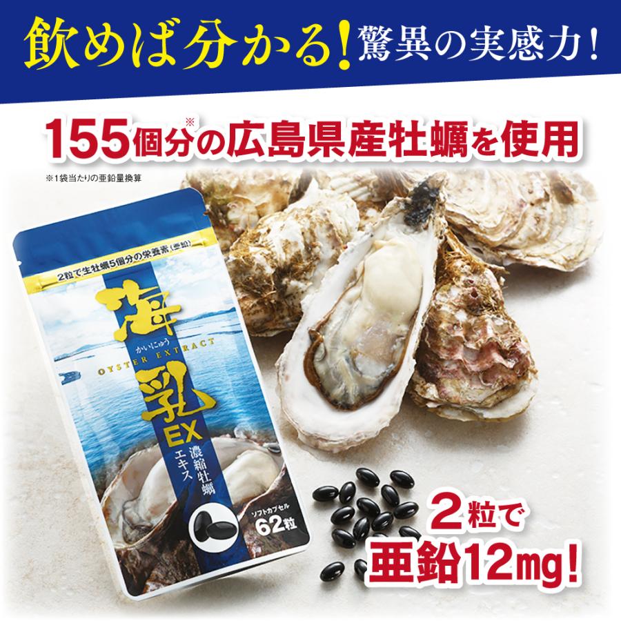 健康サポートセンター 公式 亜鉛 牡蠣サプリ 海乳EX アルギニン 5袋