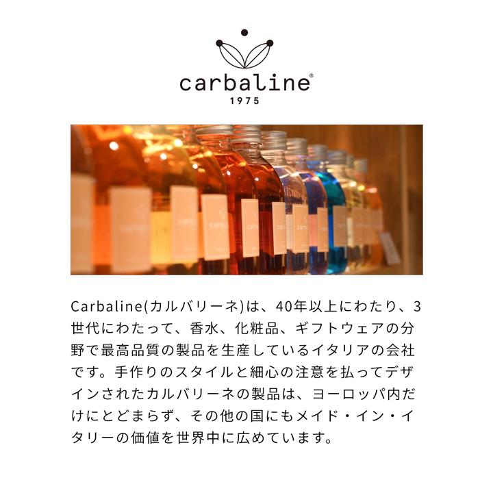 CARBALINE（カルバリン） カルバリーネ リードディフューザー 500ml