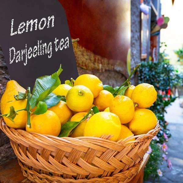 CELL This Moment ザ セカンド サマー オブ ラブ EDP SP 100ml