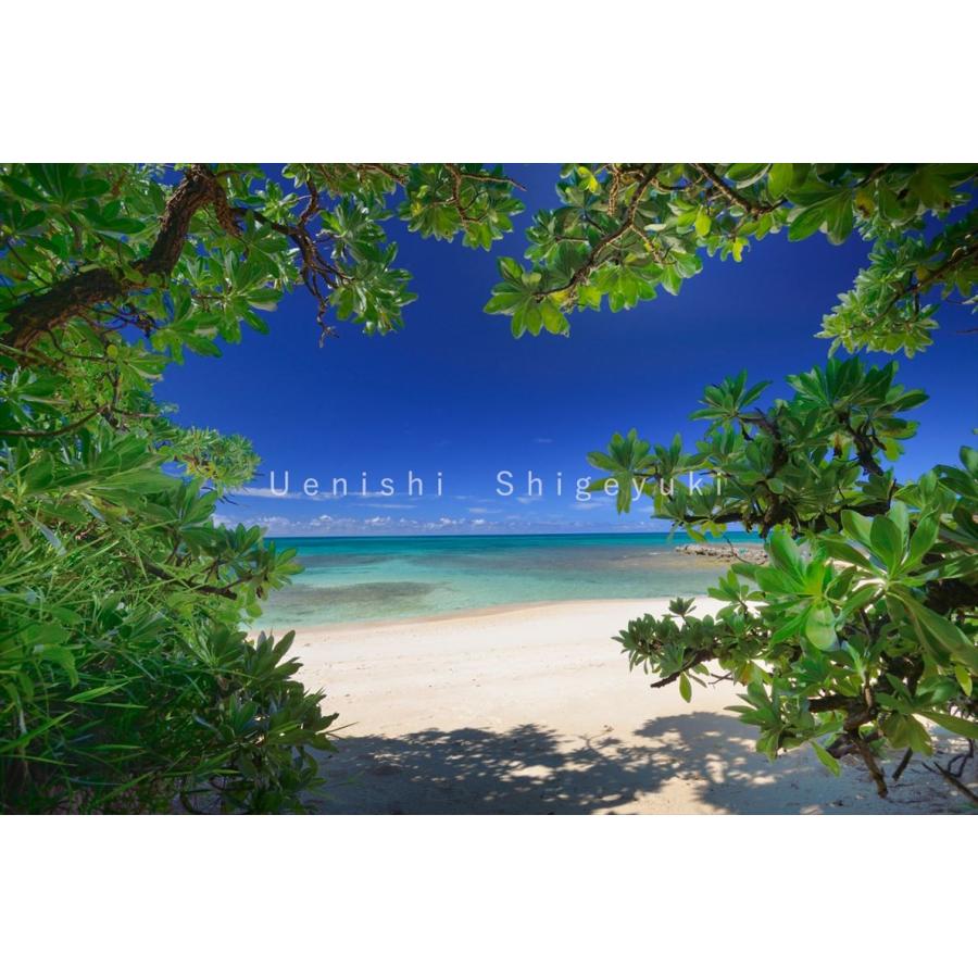 沖縄 宮古島 海の風景 ポストカード 5枚セット 写真家 上西重行 アイランドメッセージ Collection 1 マリンフォト企画 Card 1 宮古島ぱりぱり 通販 Yahoo ショッピング