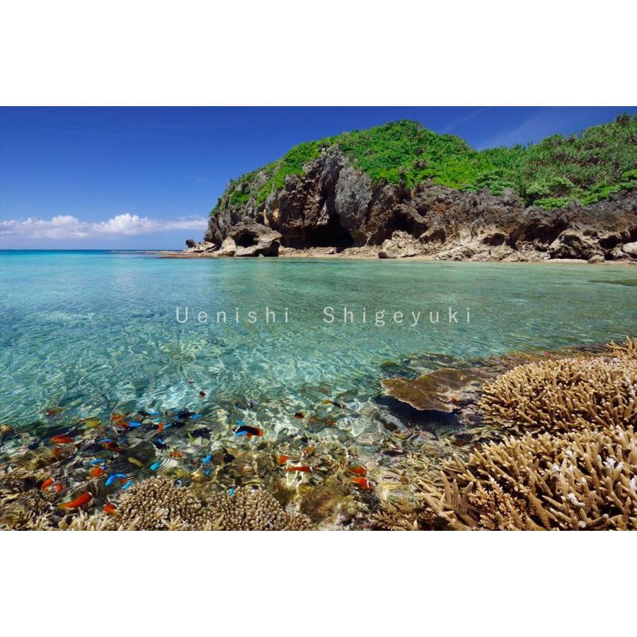 沖縄 宮古島 海の風景 ポストカード 12枚セット 写真家 上西重行 美ら海 宮古 マリンフォト企画 Card 7 宮古島ぱりぱり 通販 Yahoo ショッピング