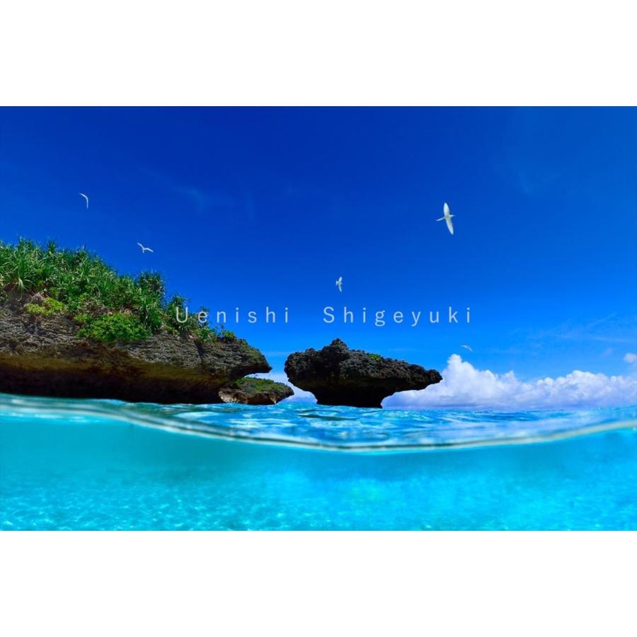 沖縄 宮古島 海の風景 ポストカード 12枚セット 写真家 上西重行 美ら海 宮古 マリンフォト企画 Card 7 宮古島ぱりぱり 通販 Yahoo ショッピング