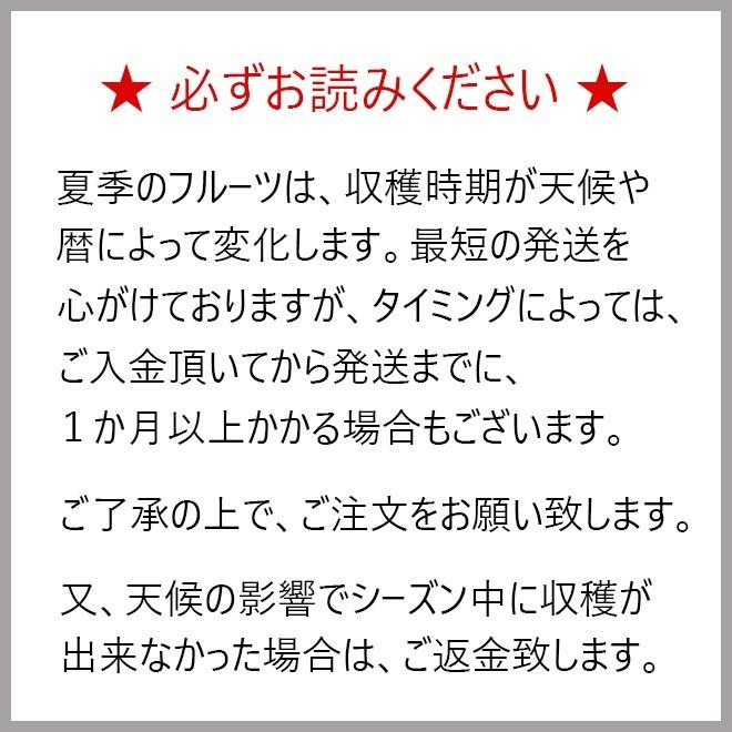 ドラゴンフルーツ 赤 5kg（大玉約8〜15玉）｜送料無料｜沖縄産 無農薬 宮古島から産地直送｜甘くて美味しい レッドピタヤ｜paripari｜02