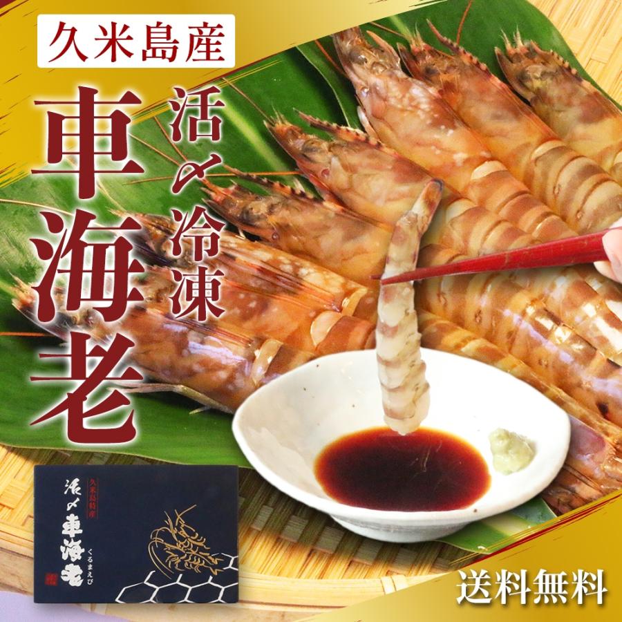 久米島産 活〆冷凍 車海老 生食可 刺身用 500g LLサイズ 16-18尾 沖縄県産 車 エビ クルマエビ お取り寄せ ギフト 送料無料
