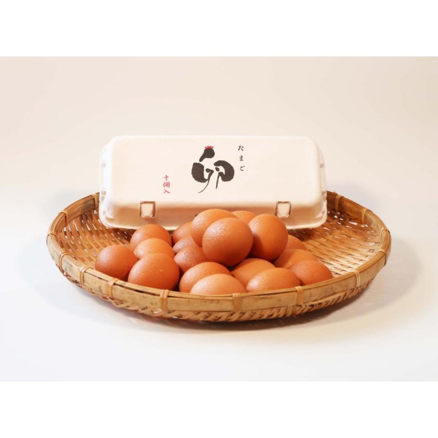 沖縄産 平飼い卵 30個 自然農園にてem菌育ちの高級卵 まなたまご 人気の採れたて卵を産地直送で通販お取り寄せ トレンド