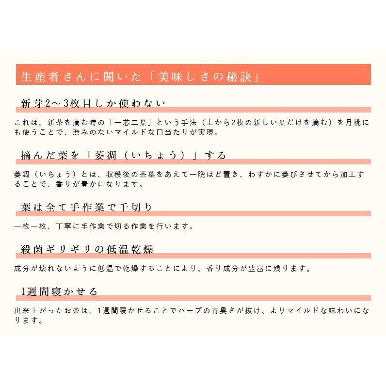 月桃茶】新芽のみを使用してます｜石垣島 オーガニック ハーブティー