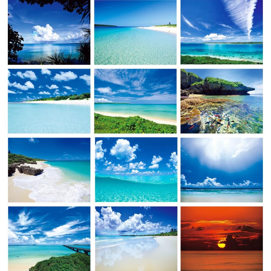 カレンダー 2026 壁掛け 海 風景 A2｜沖縄 宮古島の海のカレンダー｜美ら島宮古 |  | 02