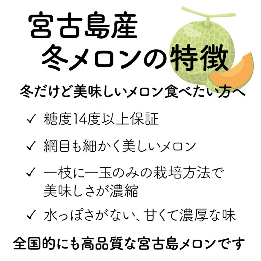 メロン 沖縄・宮古島産 冬メロン 2玉（大）計3.0kg以上・糖度14度保障！果物 フルーツ ギフト 高級 赤肉メロン 送料無料 |  | 02