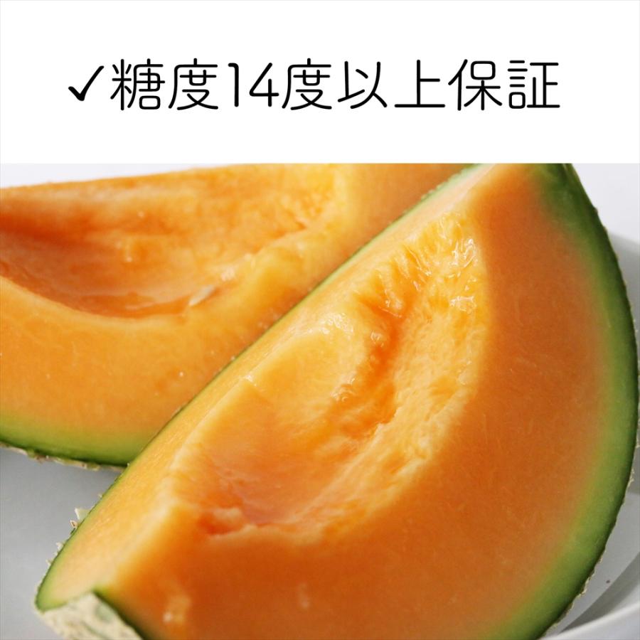 メロン 沖縄・宮古島産 冬メロン 2玉（大）計3.0kg以上・糖度14度保障！果物 フルーツ ギフト 高級 赤肉メロン 送料無料 |  | 03