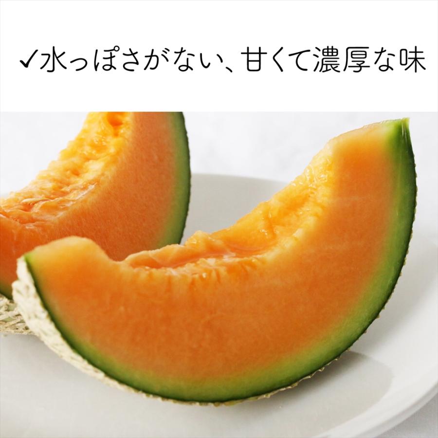 メロン 沖縄・宮古島産 冬メロン 2玉（大）計3.0kg以上・糖度14度保障！果物 フルーツ ギフト 高級 赤肉メロン 送料無料 |  | 06