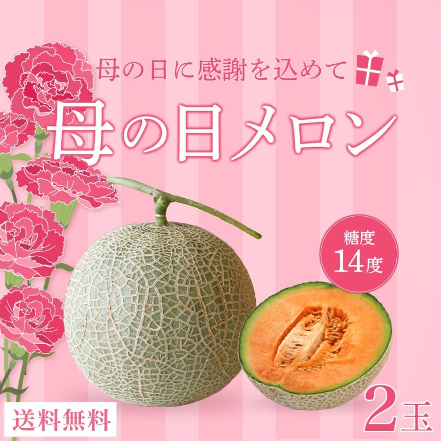 送料込 遅れてごめんね 母の日 ギフト メロン 2l 2玉 21 贈答用 プレゼント ミニ カーネーション付き 宮古島産春メロン 最終値下げ Www Fedelatina Org