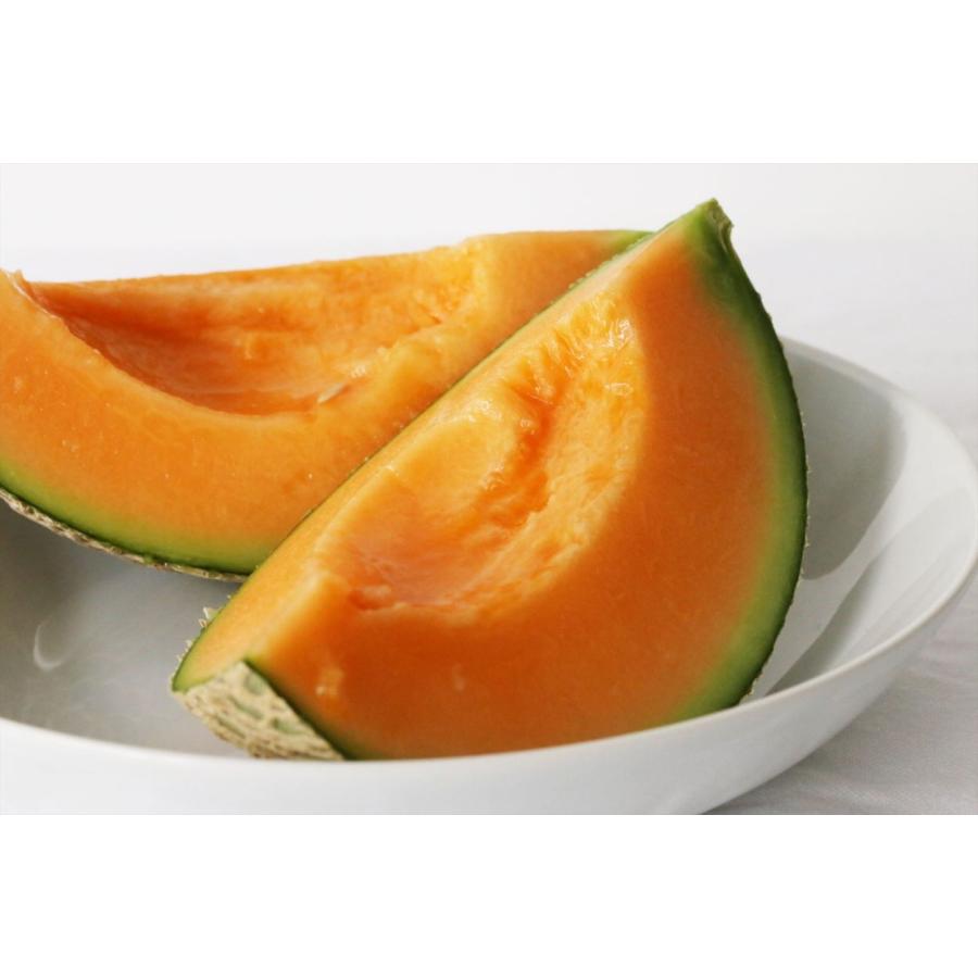 メロン 桐箱 大玉（1.7〜2.0kg）桐箱入りの高級メロン【冬メロン Premium】《12月・1月発送》沖縄・宮古島産｜果物 フルーツ ギフト |  | 04