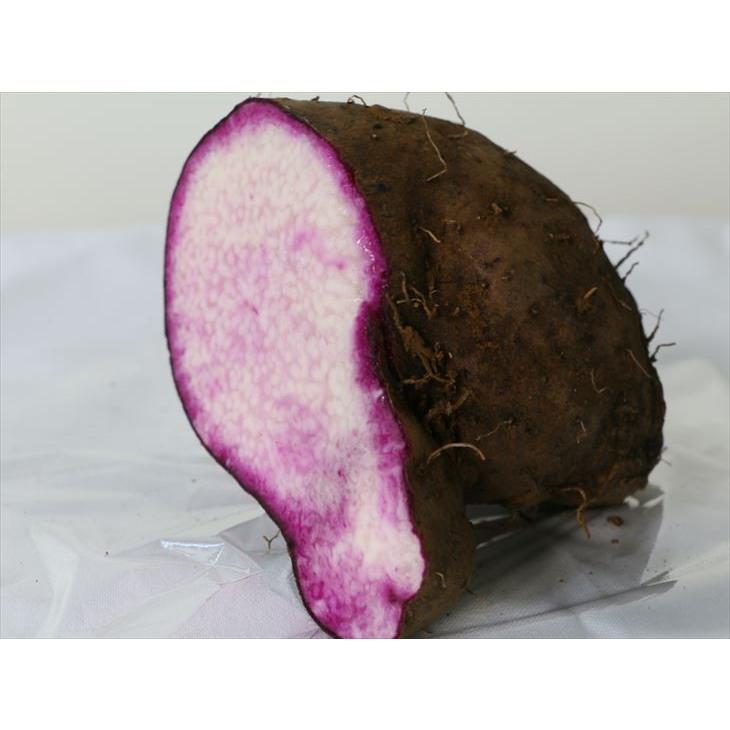 無農薬栽培 紫山芋 紫やまいも 10kg 宮古島産 Murasakiyamaimo10 宮古島ぱりぱり 通販 Yahoo ショッピング