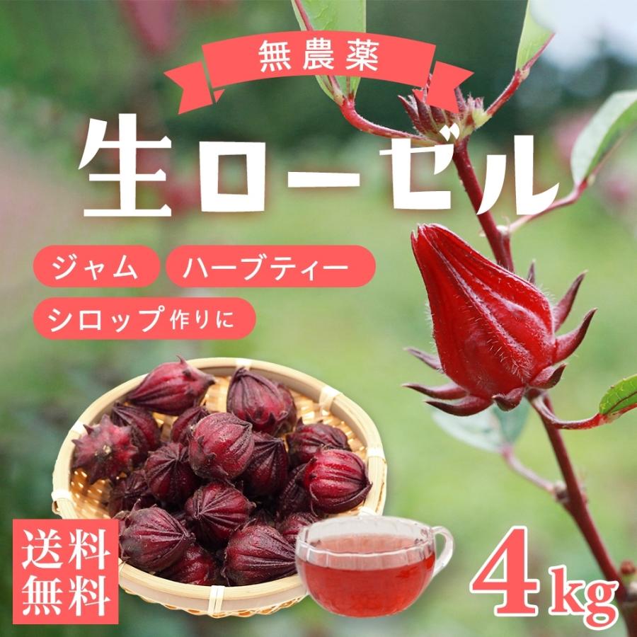 ローゼルハイビスカス 生 果実 ローゼル 4kg 無農薬 沖縄産 宮古島からローゼルティー ハイビスカスティーの実を産地直送 送料無料 Roselle 4 宮古島ぱりぱり 通販 Yahoo ショッピング