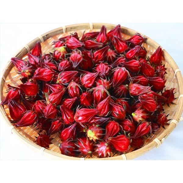 【残りわずか！最終出品間近】沖縄産フレッシュローゼル　10kg 残りわずか！最終出品間近】沖縄産フレッシュローゼル 10kg ローゼルの