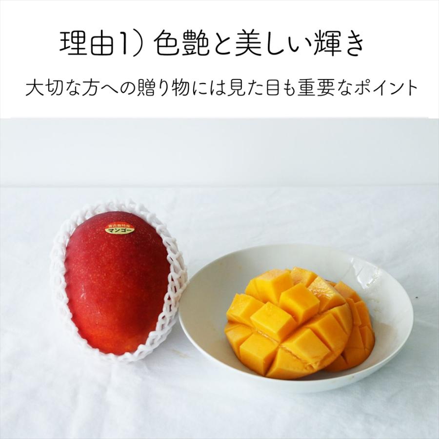 食品 宮古島産マンゴー 糖度13%以上 訳あり4キロ