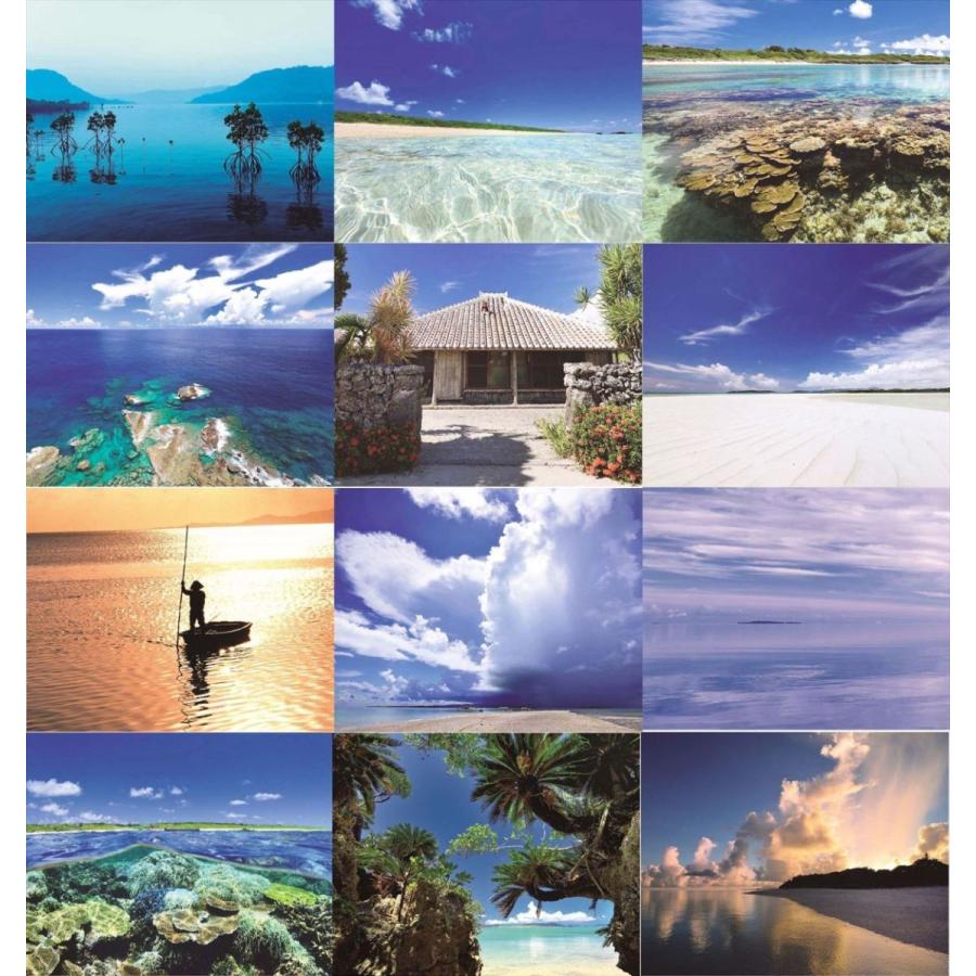 カレンダー 22 壁掛け 海 風景 沖縄 石垣島など八重山諸島の海のカレンダー 美ら島八重山 写真家 上西重行 マリンフォト企画 Yae 宮古島ぱりぱり 通販 Yahoo ショッピング