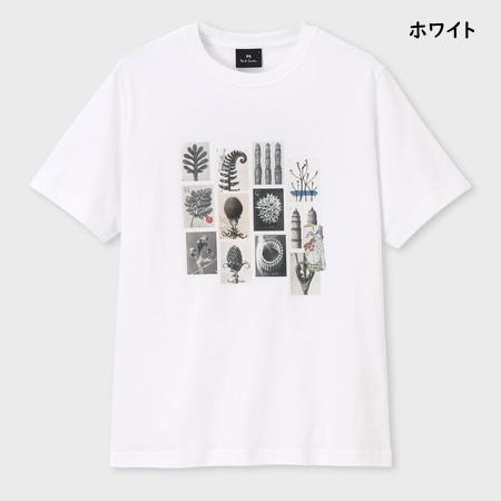 送料無料】【ラッピング無料】ポールスミス Paul Smith Tシャツ Desert