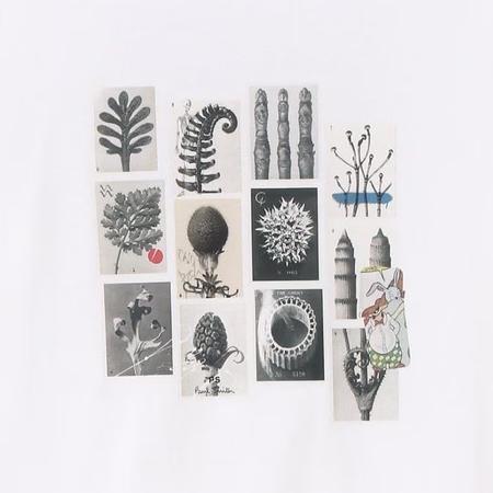 送料無料】【ラッピング無料】ポールスミス Paul Smith Tシャツ Desert