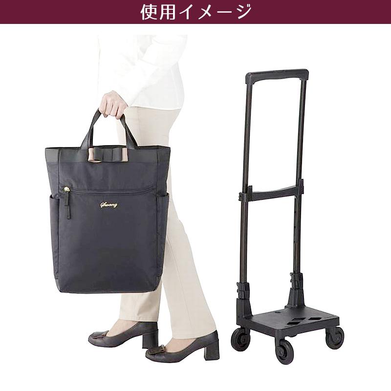 SWANY（スワニー） ルバンド キャリーバッグ Lサイズ D-640 キャリー