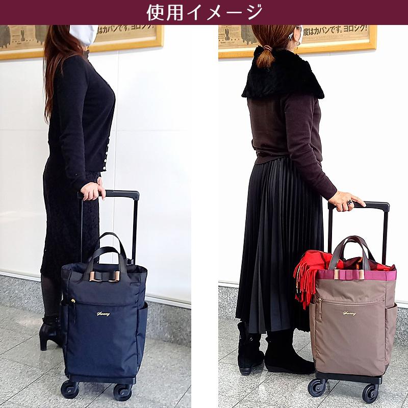 SWANY（スワニー） ルバンド キャリーバッグ Lサイズ D-640 キャリー