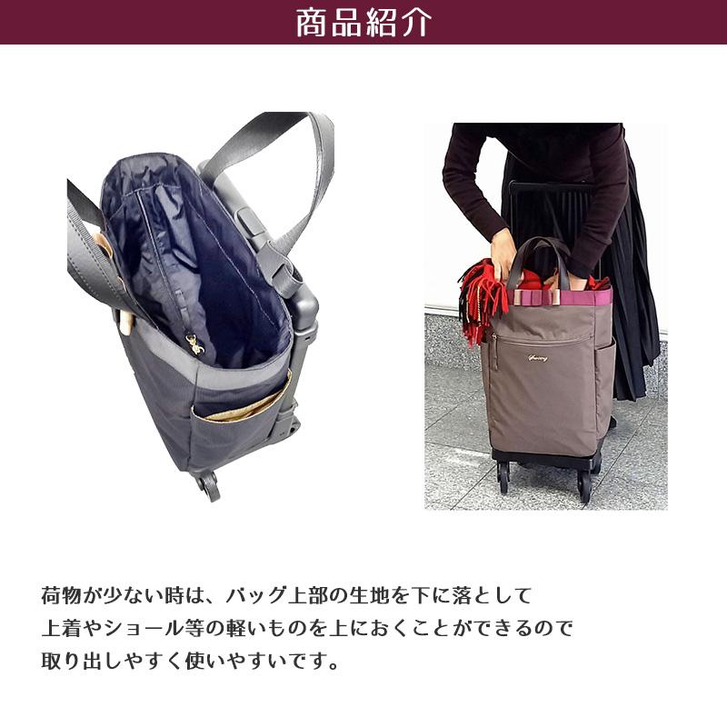 SWANY（スワニー） ルバンド キャリーバッグ Lサイズ D-640 キャリー