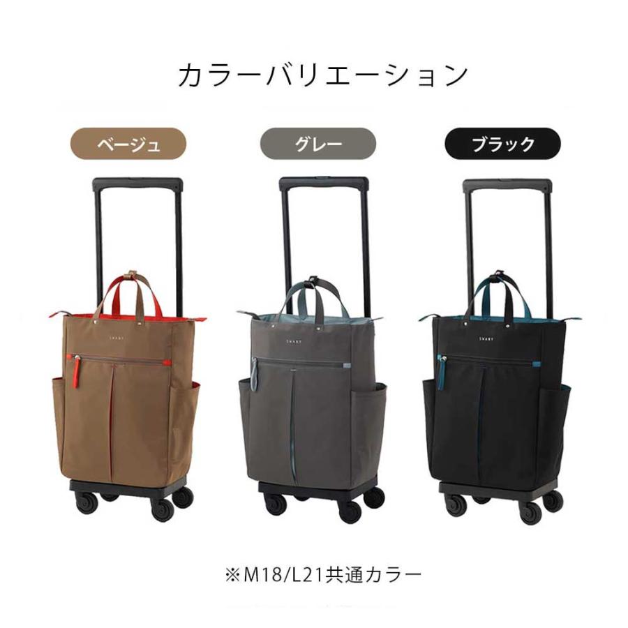 SWANY（スワニー） グイ キャリーバッグ D-685 L21 3色 Lサイズ 22L