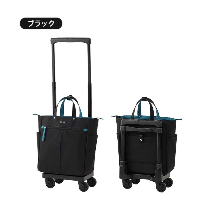 SWANY（スワニー） グイ キャリーバッグ D-685 M18 3色 Mサイズ 14L