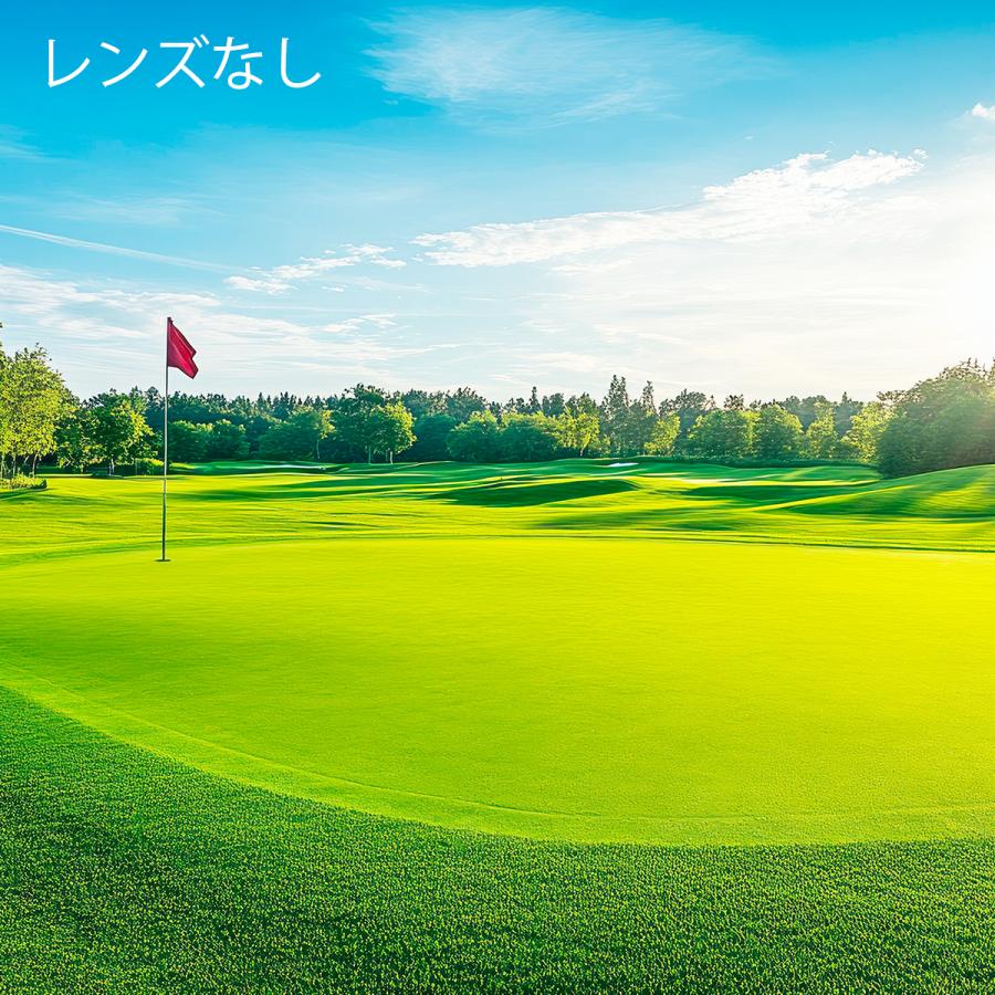 ゴルフ専用サングラス SRIXON 03 ブラック/ブルー  スリクソン 偏光レンズ ブルーカラー サングラス ウェリントン ヴァーティカル ヴィジュアライザー_3