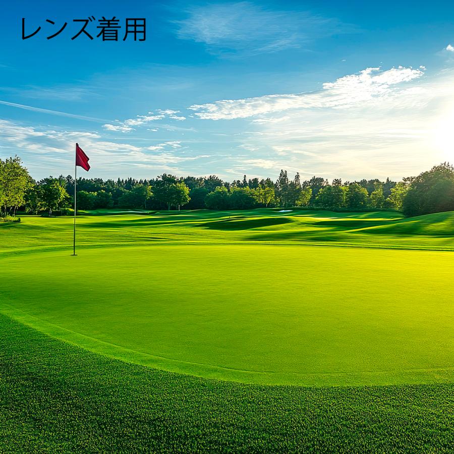 ゴルフ専用サングラス SRIXON 03 ブラック/ブルー  スリクソン 偏光レンズ ブルーカラー サングラス ウェリントン ヴァーティカル ヴィジュアライザー_4