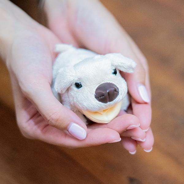 アニマル クリーナー ドッグ ラブラドール メガネ拭き ストラップ 動物
