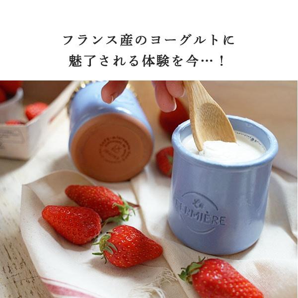 ヨーグルト フェルミエ プレーン 【140g 容器含め330g】 フランス産