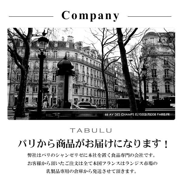 送料無料 エシレバター ECHIRE 有塩 100g 10個セット まとめ買い バター 発酵バター フランス産 AOP 高級バター エシレバター｜parisnodaidoko｜10