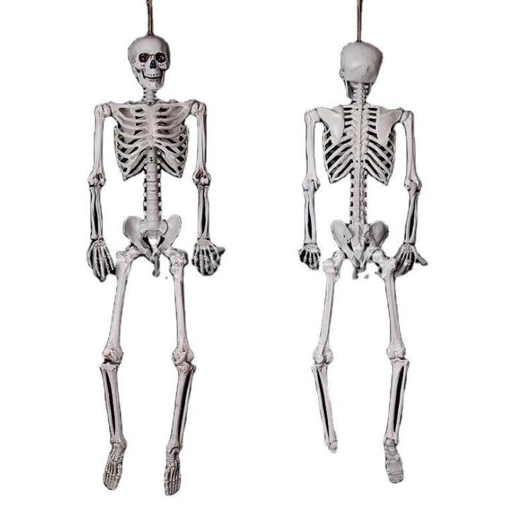 Amazon.co.jp: SUDOO 骨模型 全身 等身大 人体模型 170cm 骨格模型 高