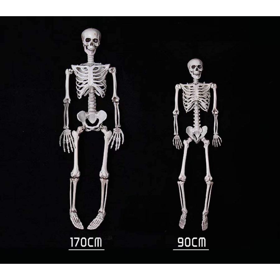 ハロウィン 飾り 骸骨 ドクロ 模型 モデル 人体 骨格 頭蓋骨 スケルトン 幽霊シミュレーション リアル 肝試し 学習用教材 ゴーストハウス パーティー 小道具｜parisroseno2｜05
