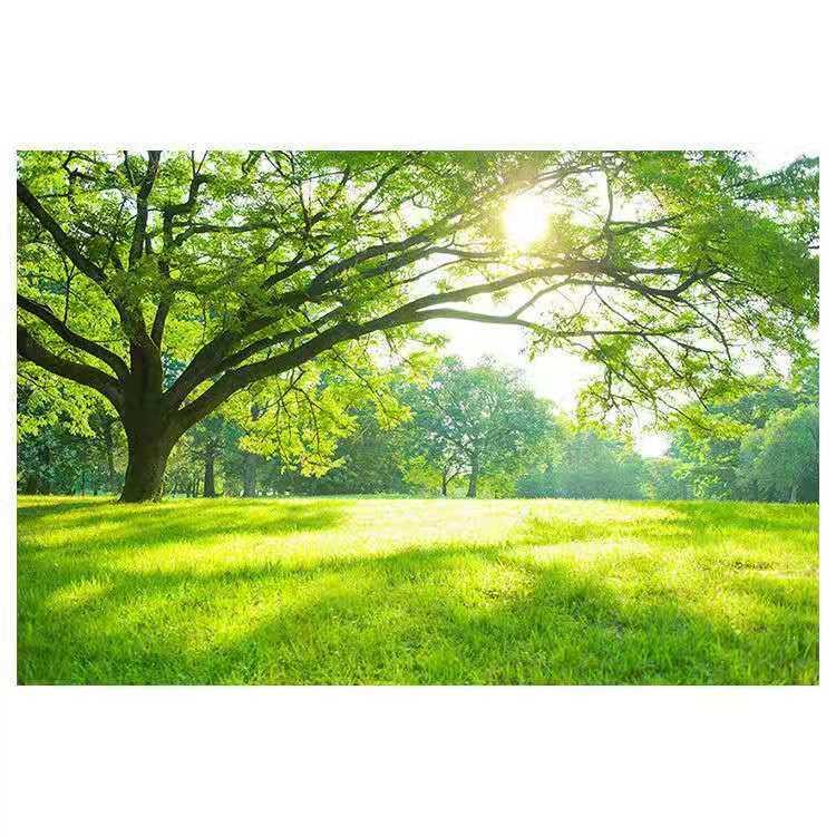 ウォールステッカー 壁紙 シール 風景ステッカー 壁シール インテリア おしゃれ 防水 クリエイティブ装飾 リビングルーム 自