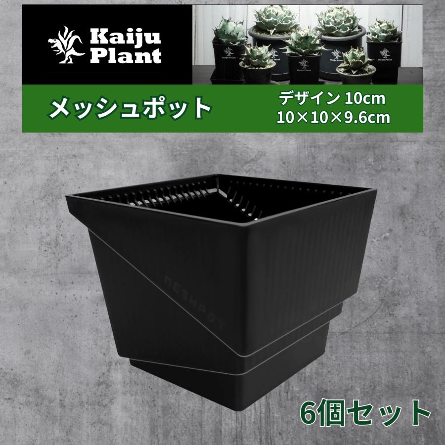 Kaiju Plant メッシュポット サークリングしない プラ鉢 アガベ Kaiju Plant メッシュポット サークリングしない プラ鉢 アガベ