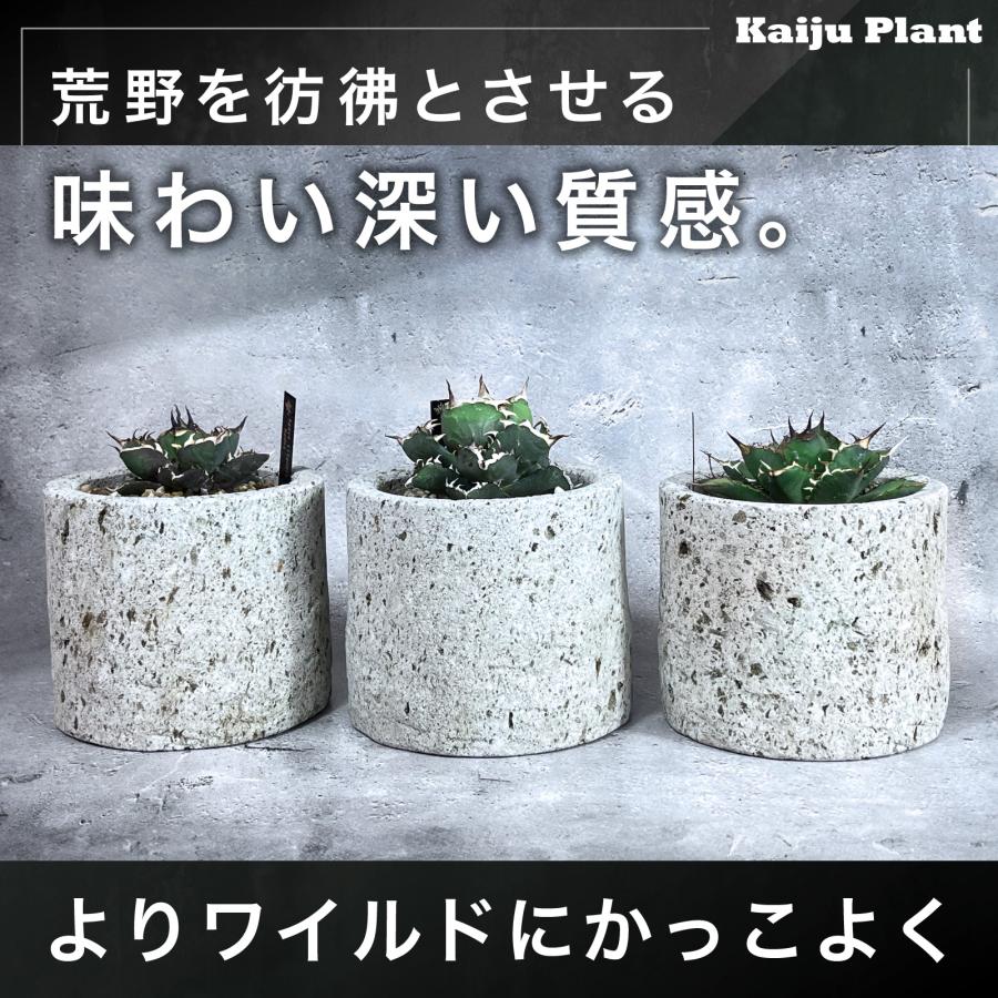 Kaiju Plant 大谷石 石鉢 Φ140mm x H120mm 0.7L アガベ 多肉 Kaiju Plant 大谷石 石鉢 Φ140mm x H120mm 0.7L アガベ 多肉