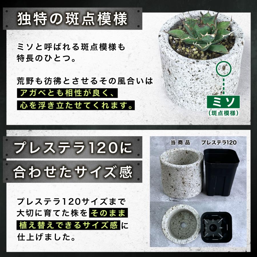 Kaiju Plant 大谷石 石鉢 Φ140mm x H120mm 0.7L アガベ 多肉 Kaiju Plant 大谷石 石鉢 Φ140mm x H120mm 0.7L アガベ 多肉