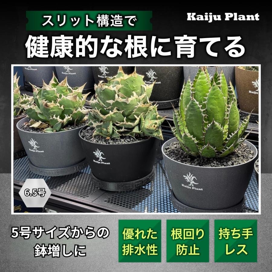 Kaiju Plant 怪獣ポットEco6.5 スリット鉢 6.5号 麦わら再生プラ