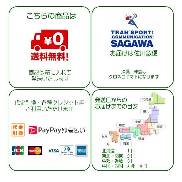 【新商品】 パークゴルフクラブ アシックス クラシコ オールラウンダー 専門店の安心対応 【Q8869346549】(31878円)