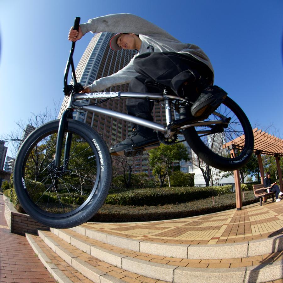 subrosa wings park 20インチ Subrosa - Wings Park 20