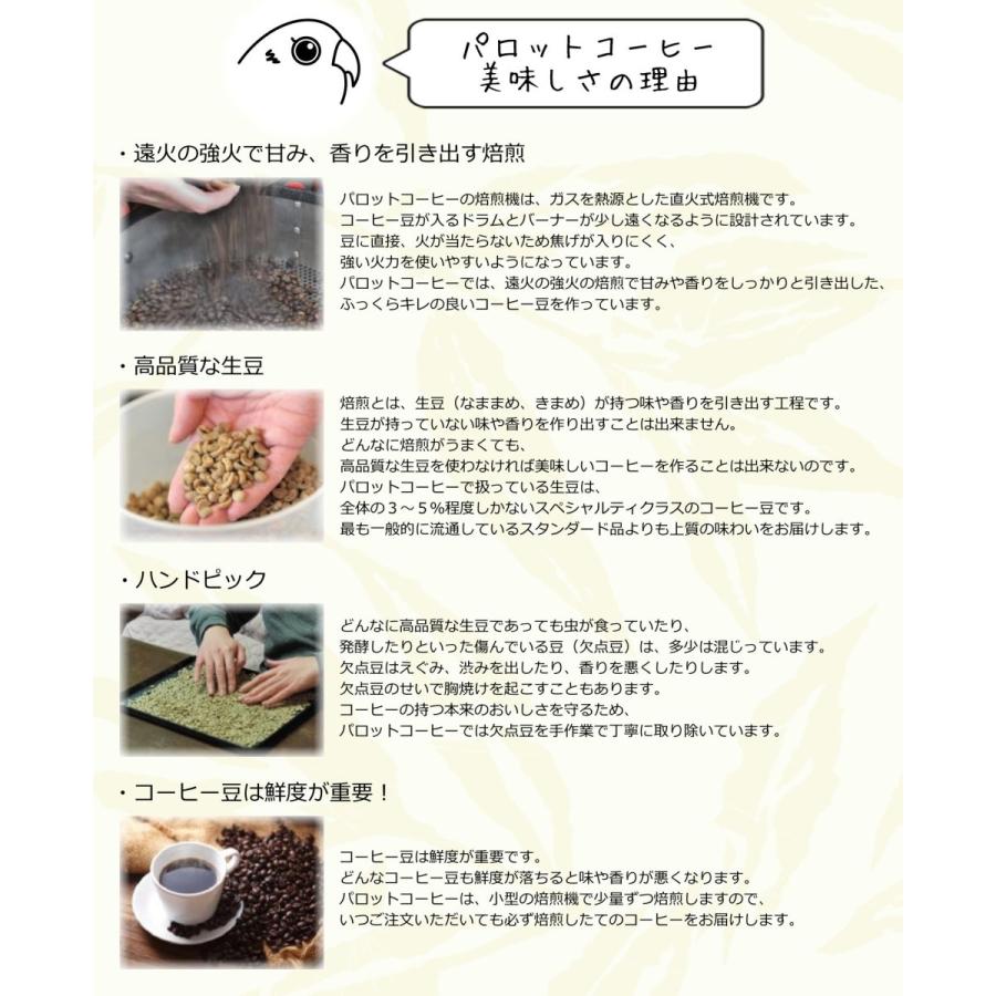コーヒー豆 200g スラウェシ・タナ・トラジャ 自家焙煎｜parrot-coffee｜07
