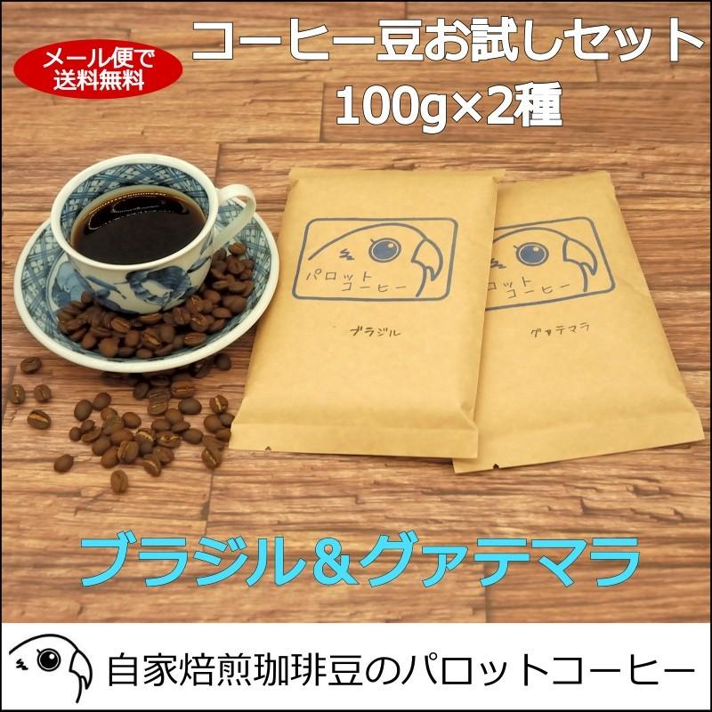 コーヒー豆 お試し セット 100g×2種 ブラジル グァテマラ : パロット